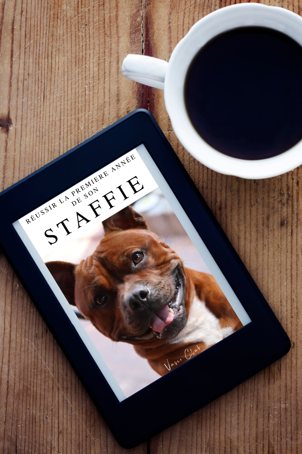 EBOOK - Réussir la première année de son STAFFIE