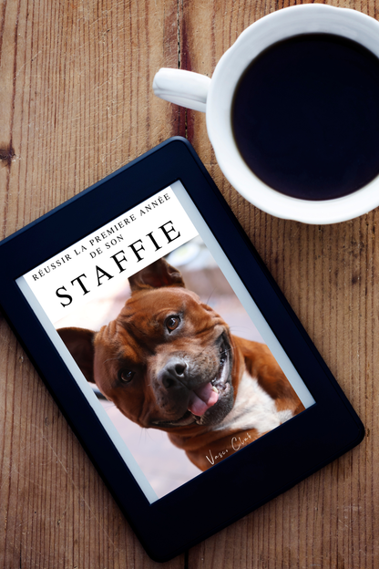 EBOOK - Réussir la première année de son STAFFIE