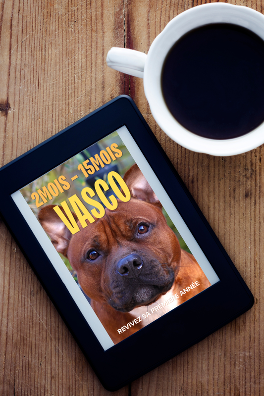 EBOOK - Staffie : réussir sa première année sans erreurs