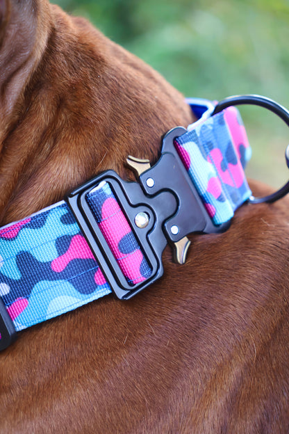 Ensemble Collier + Laisse Tactique "MIARMY"