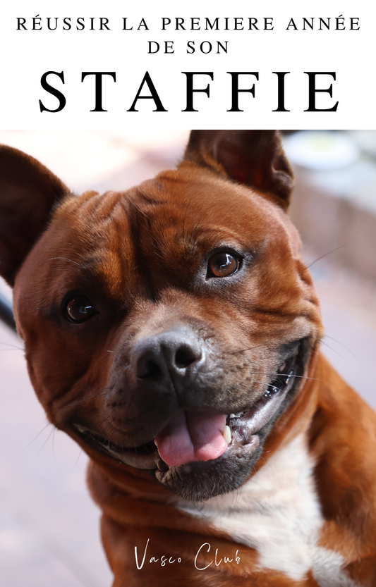 EBOOK - Réussir la première année de son STAFFIE