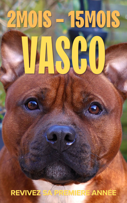 EBOOK - Staffie : réussir sa première année sans erreurs